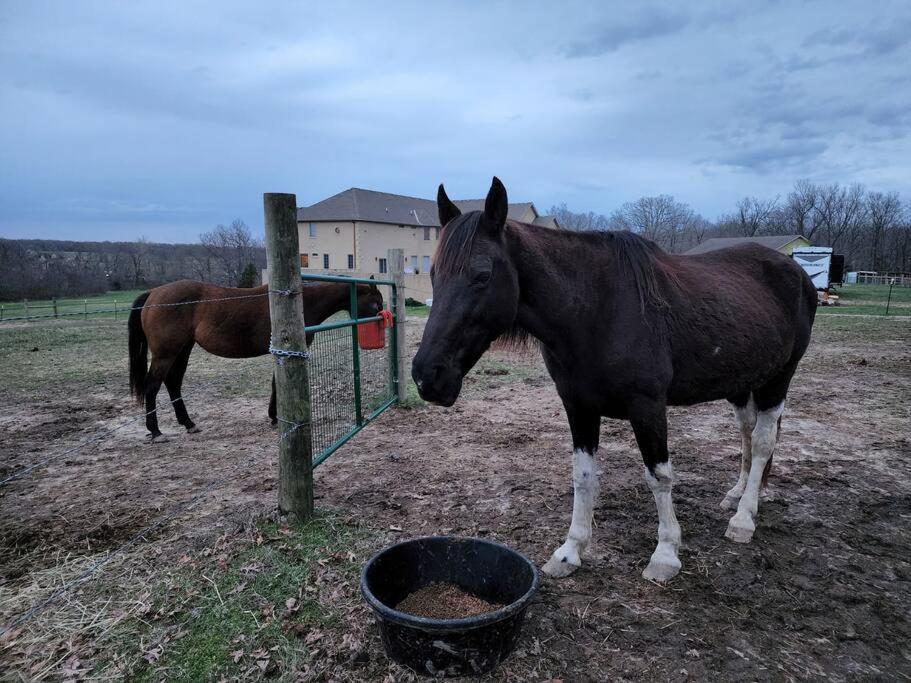 Deer Run Estate LLC Hotel Marshfield Buitenkant foto